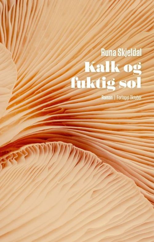 Kalk og fuktig sol : roman