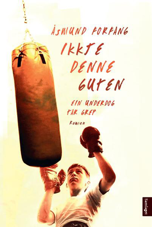 Ikkje denne guten : roman