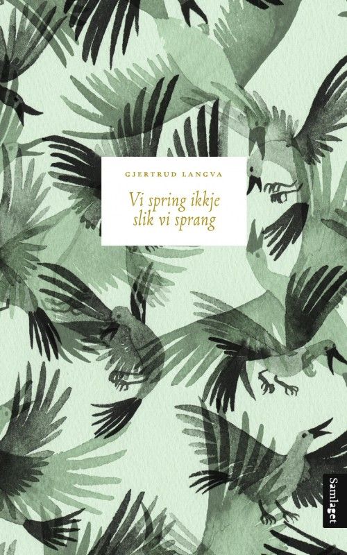 Vi spring ikkje lik vi sprang : roman
