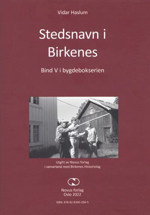 Birkenes. Bd.5, Stedsnavn i Birkenes