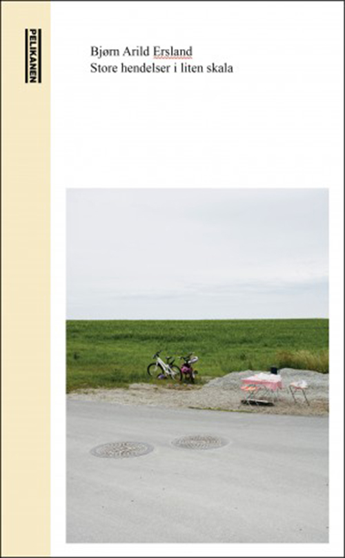 Store hendelser i liten skala : roman