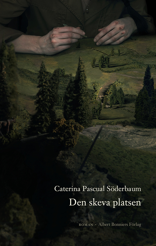 Den skeva platsen : roman
