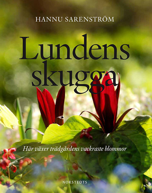 Lundens skugga : här växer trädgårdens vackrasta blommor