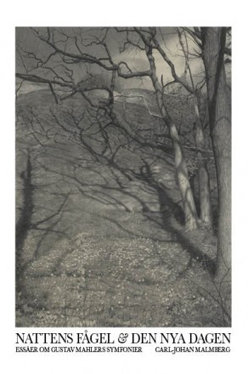Nattens fågel och nya dagen : essäer om Gustav Mahlers symfonier