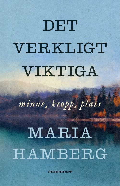 Det verkligt viktiga : minne, kropp, plats