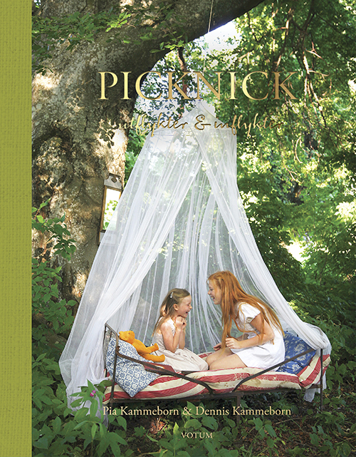 Picknick : utflykter & inflykter