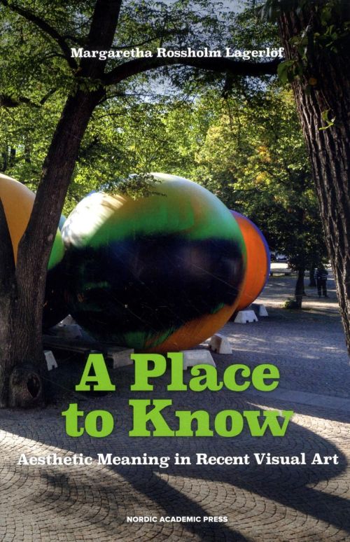 A place to know : aesthetic meaning in recent visual art