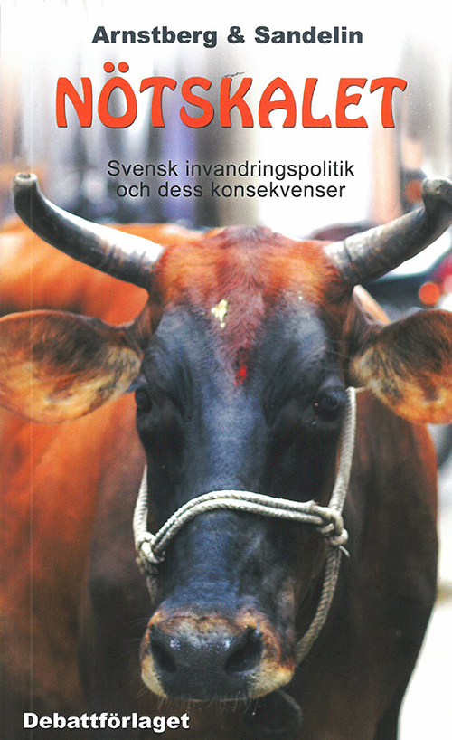 Nötskalet : svensk invandringspolitik och dess konsekvenser